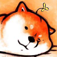 可爱动画柴犬情侣头像 超萌可爱柴犬情侣头像一对