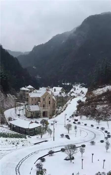 大温州下雪啦!这些"盛世美颜"与最美雪景刷爆了朋友圈