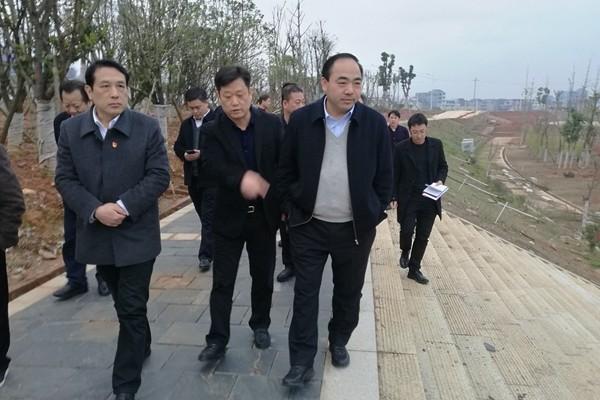 阳卫国来攸县视察河长制和安全生产工作情况