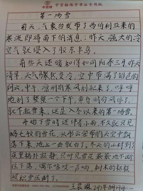 思维习惯训练专家,中国五天练字速成开创者王学臣先生于2003年发明