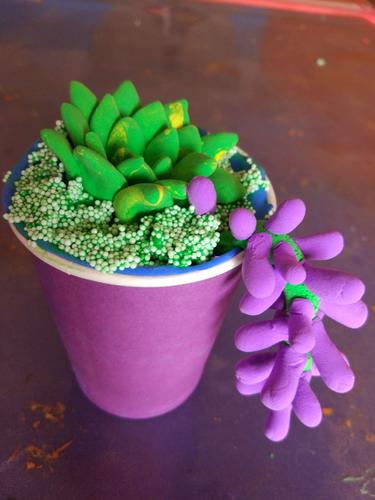 彩泥作品《多肉》植物