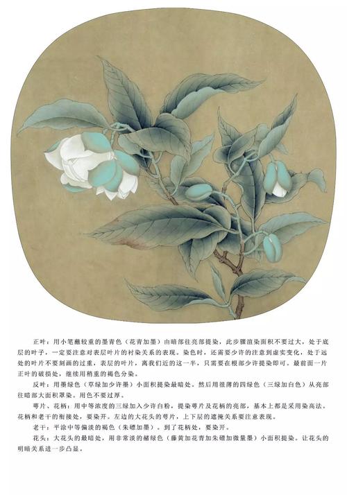 李晓明《临宋夜合花图》附高清局部图及绘制步骤!