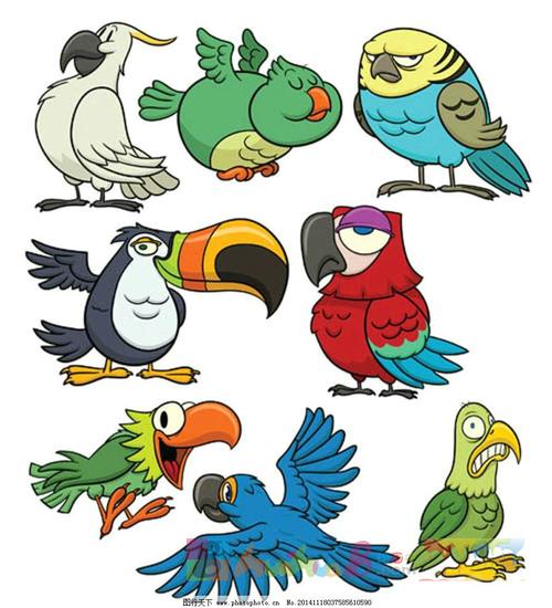 卡通鸟图片简笔画彩色