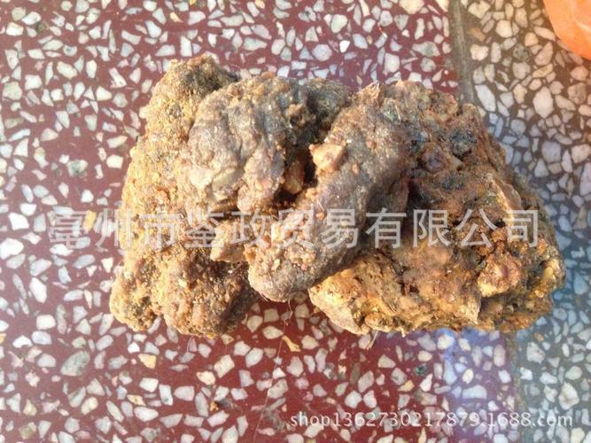 冷背药材批发 头发七 -新货 黑丝草 散装人头七 黑丝带a