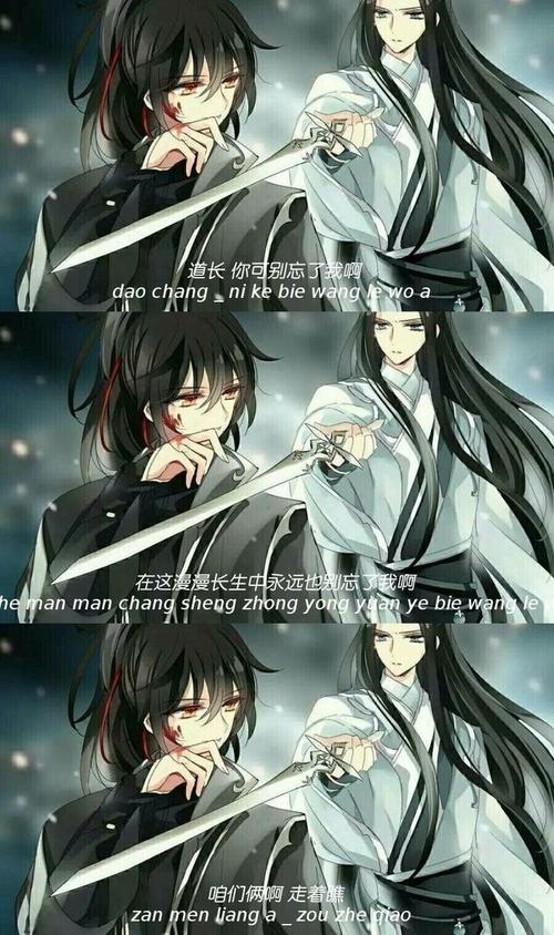 魔道祖师壁纸:薛洋与晓星尘