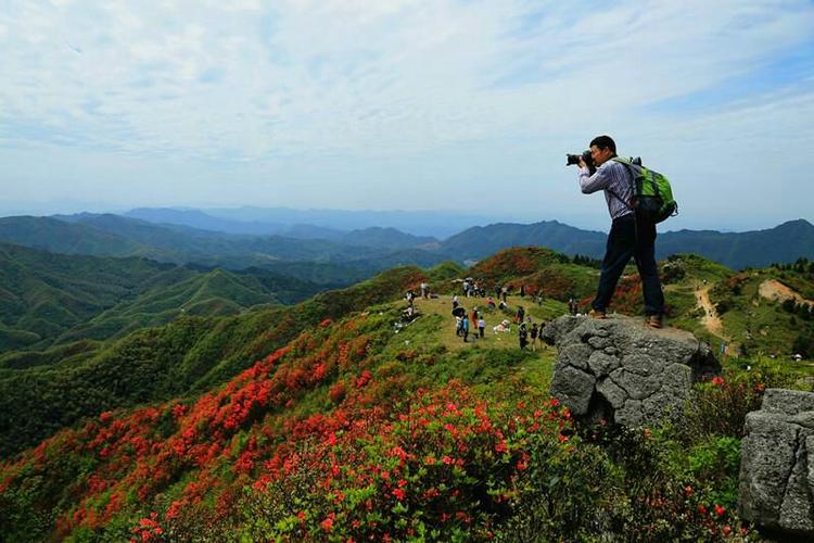 常宁天堂山醉美杜鹃花,你去了吗?
