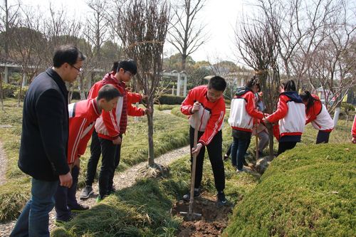 植树护绿 美化校园——我校开展3.12校园植树节活动