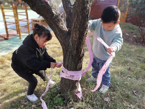 我给小树穿冬衣