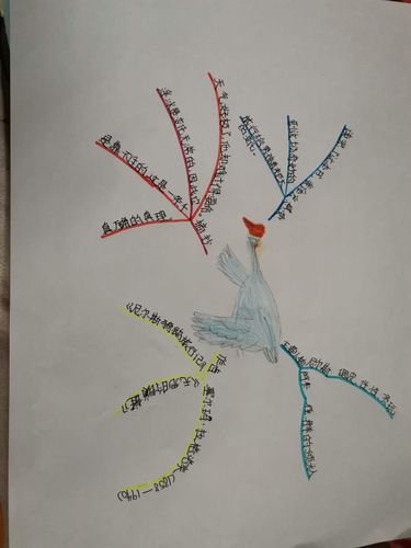 《骑鹅旅行记》思维导图