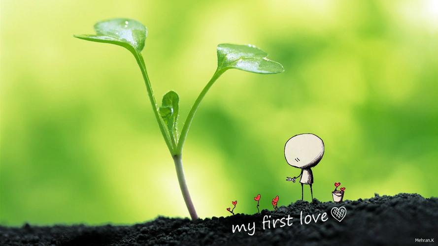 壁纸cgmyfirstlove