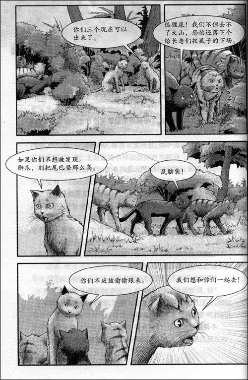 猫武士三部曲之3:驱逐之战/艾琳·亨特 (erin hunter)