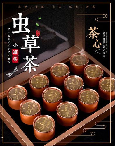 冬虫夏草小罐茶 礼盒装石斛灵芝养生茶 虫草茶 虫草小罐茶 礼盒装