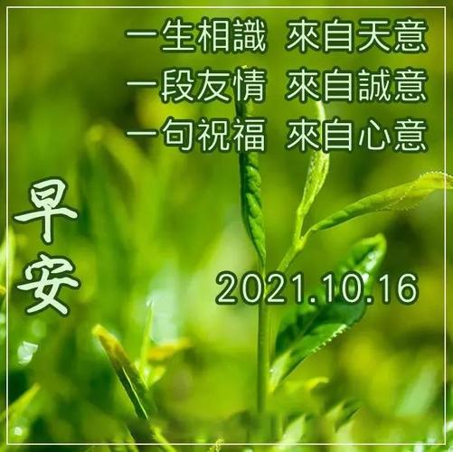 2021年10月16日星期六早上好问候图片 周六最新早安问候祝福图片带字