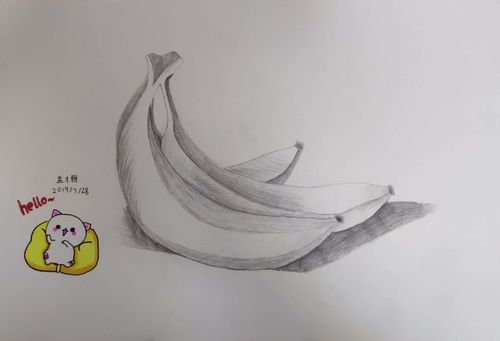 小学三年级学习素描,留念画册.