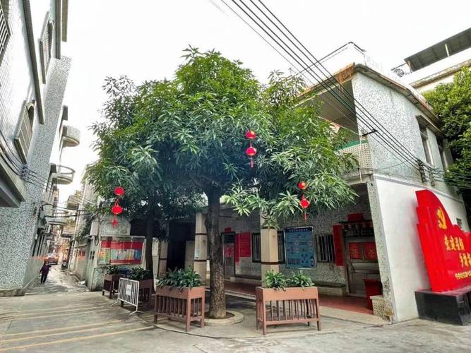 粤迎寅虎年味湾区春节上新古镇各村居氛围拉满