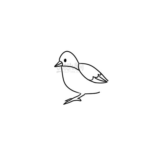 又简单又好看的鸟简笔画怎么画