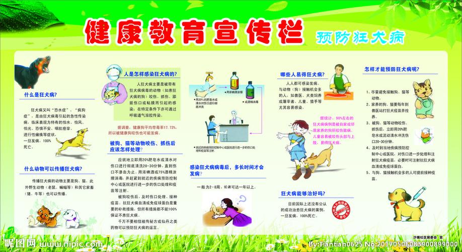 健康教育宣传栏图片