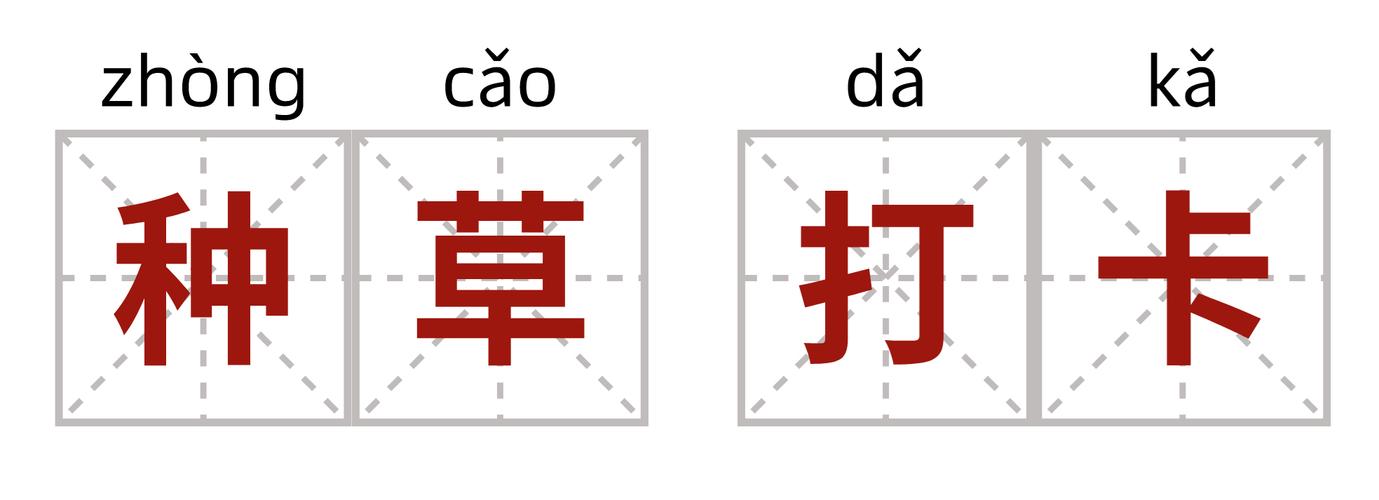 新型消费观盛行种草经济打卡经济是害人还是利人