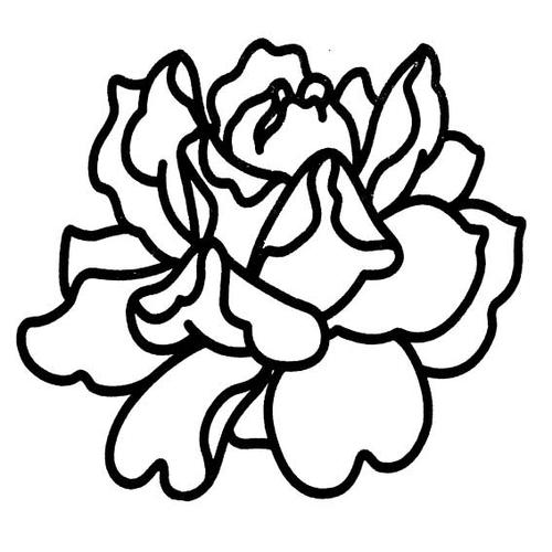 怎么画牡丹简笔画图片,幼儿简笔画教程,教宝宝学画漂亮的牡丹花简笔画