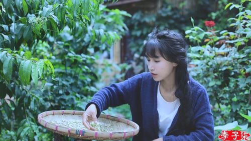 李子柒用心感受田园生活烹制醇香螺蛳粉还原经典做法