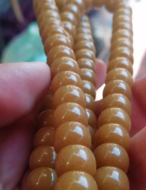 "菩提根"or"白玉菩提",傻傻分不清楚?