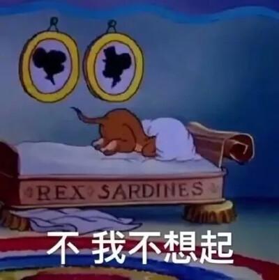 猫和老鼠熬夜冠军表情包