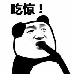 吃惊表情gif动画 斗图表情包大全   与 吃惊表情