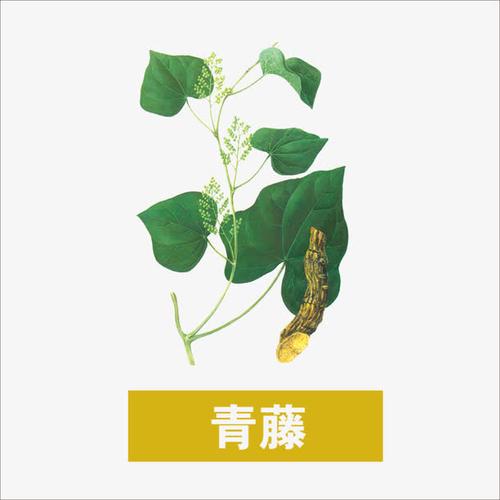 青藤