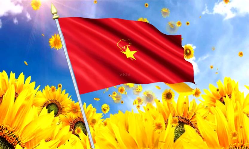 少先队旗向日葵_1920x1152_高清视频素材下载(编号:)
