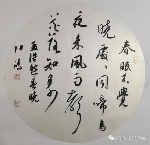 【大别颂歌】信阳市书法名家推介之——张鸿