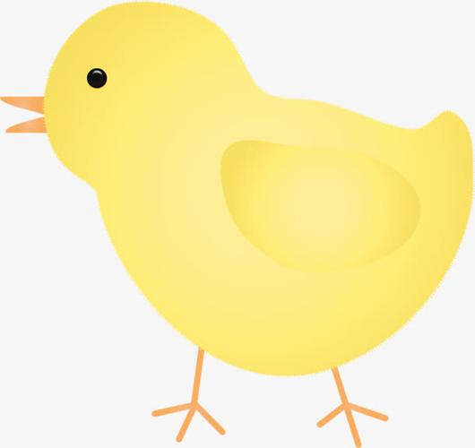 黄色卡通高清小鸡