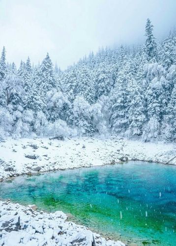 九寨沟连续三天下雪,这是"春雪"?