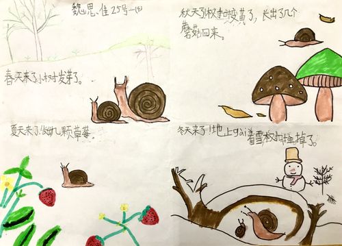 一画一话小蜗牛的四季