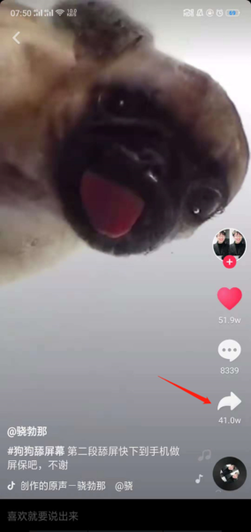 抖音小狗舔屏动态壁纸怎么设置 小狗舔屏动态壁纸设置