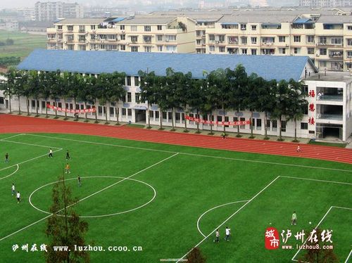 龙马潭区泸化中学_泸州市美丽校园评选网络投票页