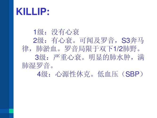 网 所有分类 高等教育 医学 2010中国急性心衰诊疗指南yxbppt  killip