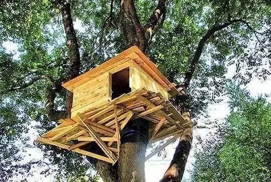 看多了童话里的小树屋