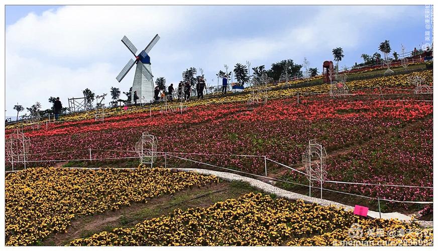 宜宾西部农庄—四季花海