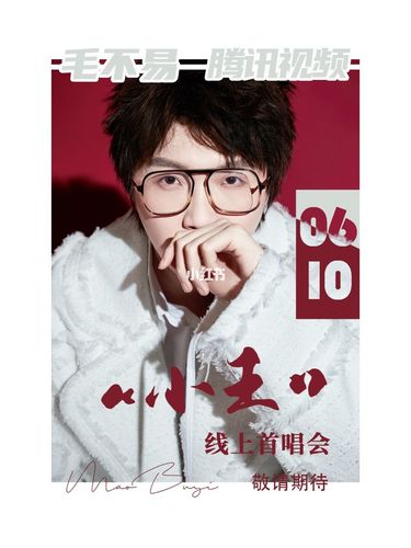 毛不易专辑《小王》首唱会_影视_音乐
