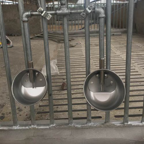 热销 兽用饮水碗厂家304不锈钢自动饮水碗 猪场自动设备节水神器