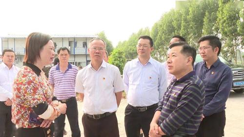 11月4日下午,省供销社党组成员,理事会副主任杨志坚率队来到阳西县