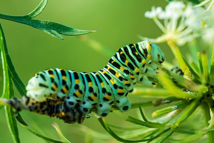 微眼看世界之七