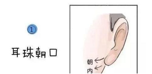 首页 命理专题 手相面相 >> 正文  面相中耳垂厚实且刚好朝向嘴巴,这