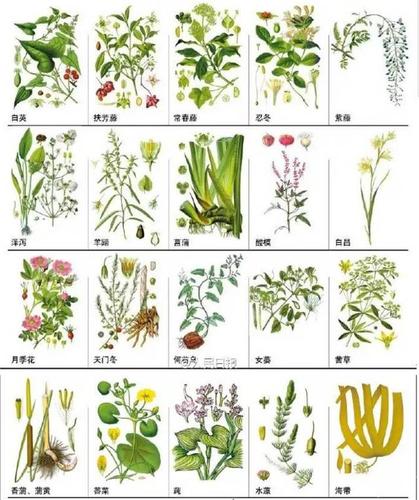 请联系小编进行删除  密卷 领书 中药 西药 答题 备考 测评 礼品 报名