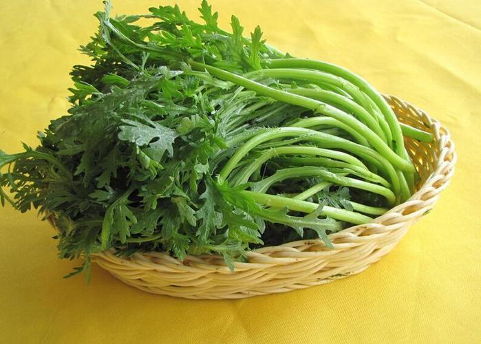 同蒿,蓬蒿,蒿菜,菊花菜,塘蒿,蒿子杆,蒿子,桐花菜(在福建等地也叫鹅菜