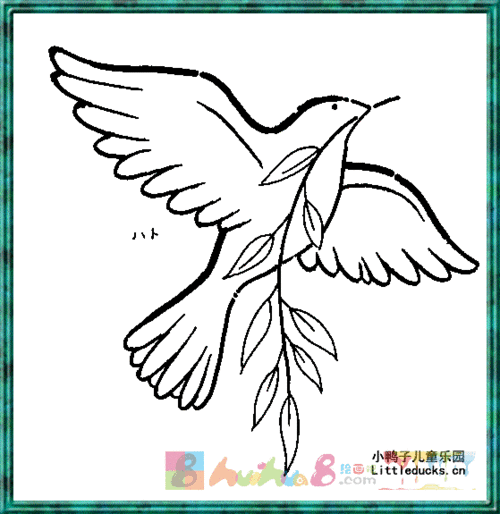 鸽子简笔画图片大全大图