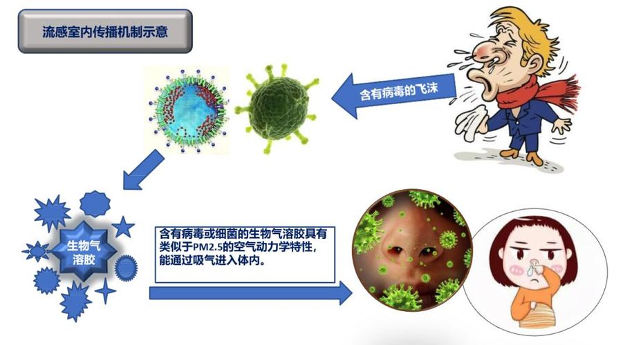 卫冕冠军澳大利亚也回家了