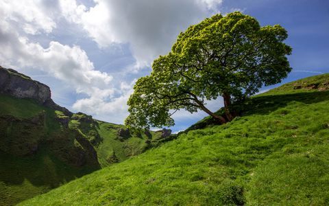 高原草地蓝天风景图片