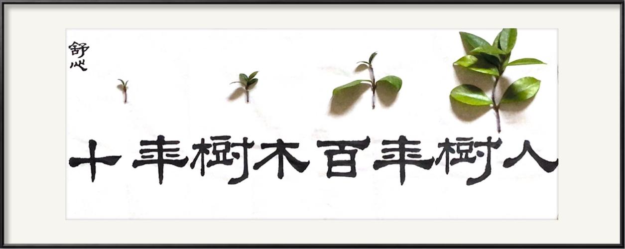 舒心(少年书法一班,11年级) 隶书: 十年树木 百年树人