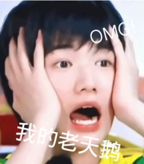 宋亚轩/小宋老师表情包安排!